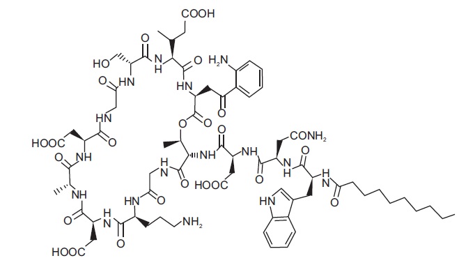 daptomycinstructurenorthstar