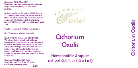 CichoriumOxalisAmpules