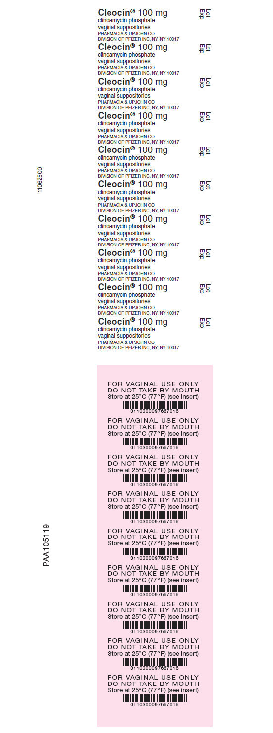 PRINCIPAL DISPLAY PANEL - 100 mg Suppositories Carton