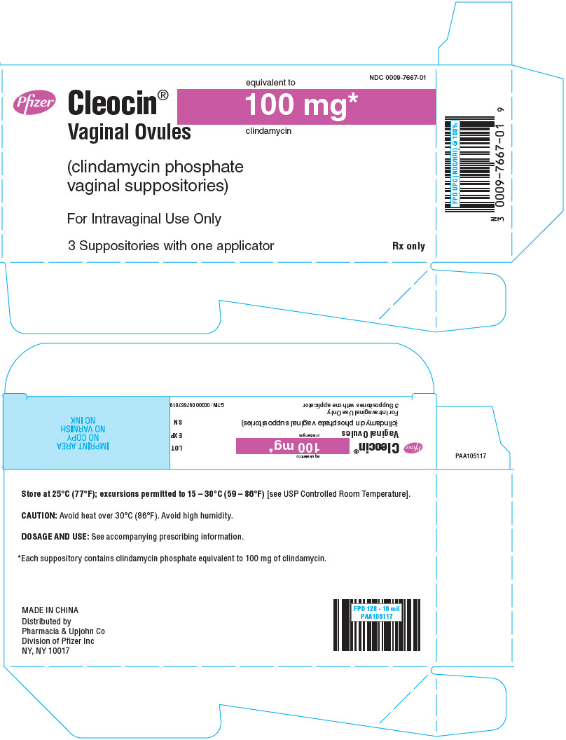 PRINCIPAL DISPLAY PANEL - 100 mg Suppository Foil Carton