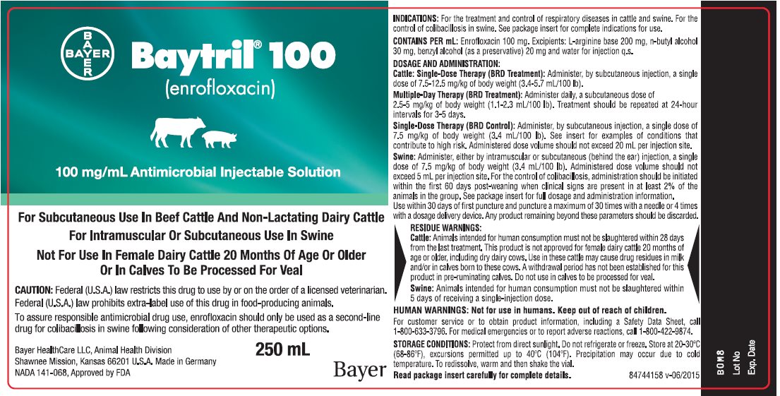 Baytril 100 (enrofloxacin) 100 mg/mL Antimicrobial Injectable Solution 250 mL Bottle Label