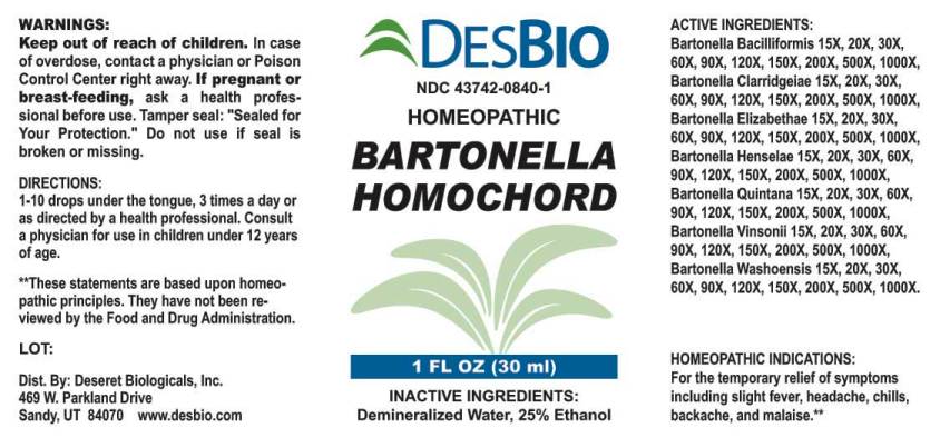 Bartonella Homochord