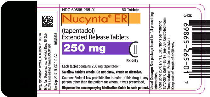 PRINCIPAL DISPLAY PANEL - 250 mg Tablet Bottle Label