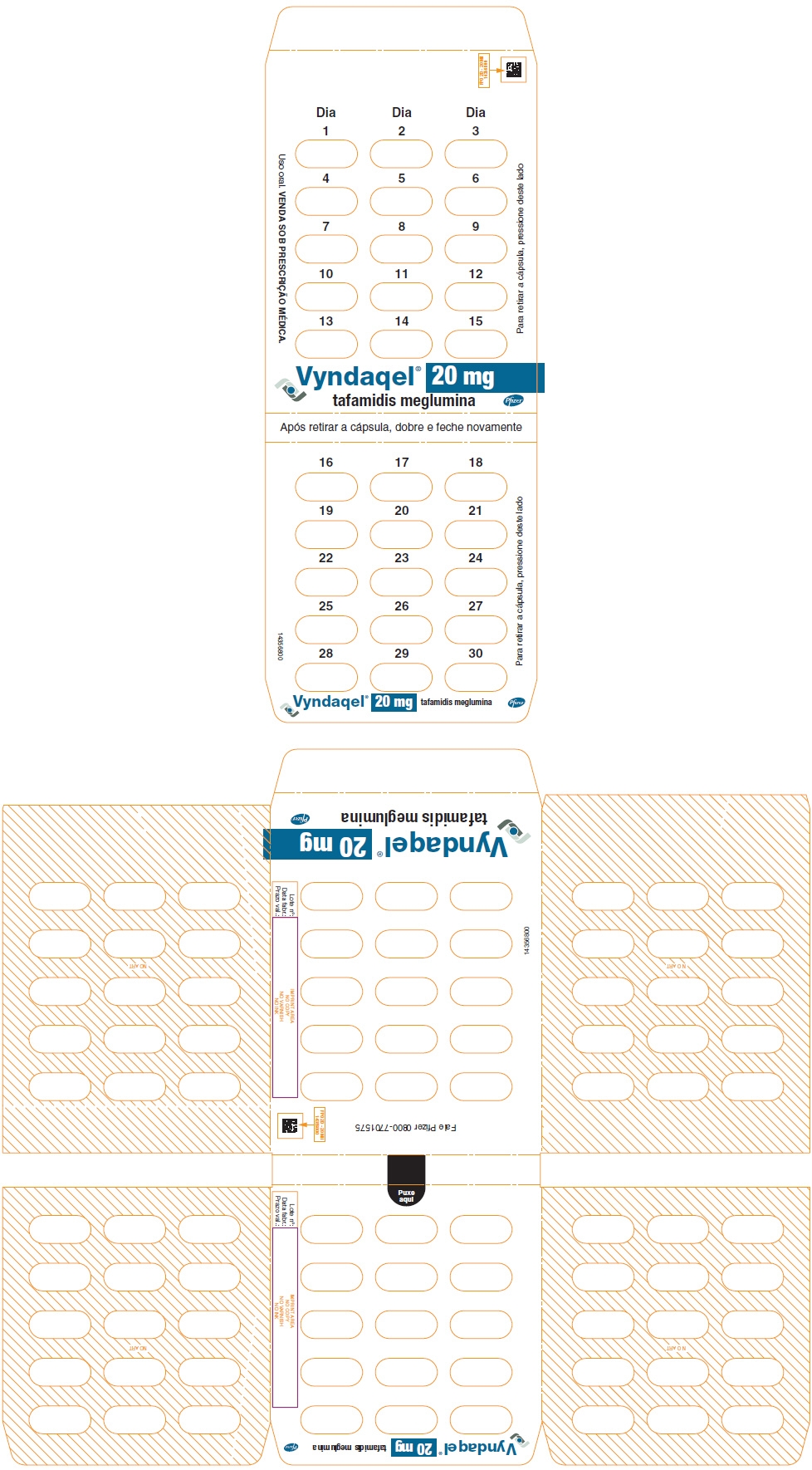 PRINCIPAL DISPLAY PANEL - 20 mg Blister Pack