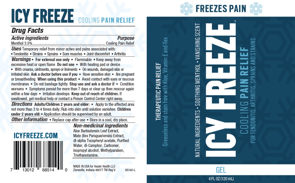 Principal Display Panel - Icy Freeze 3oz Gel Pump
