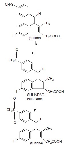 SULINDAC by Major Pharmaceuticals SULINDAC tablet