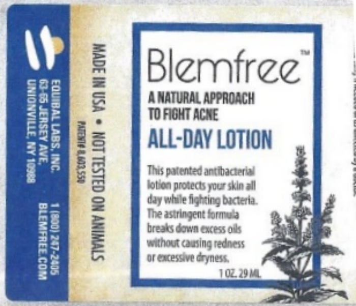 Blemfree All Day Lotion