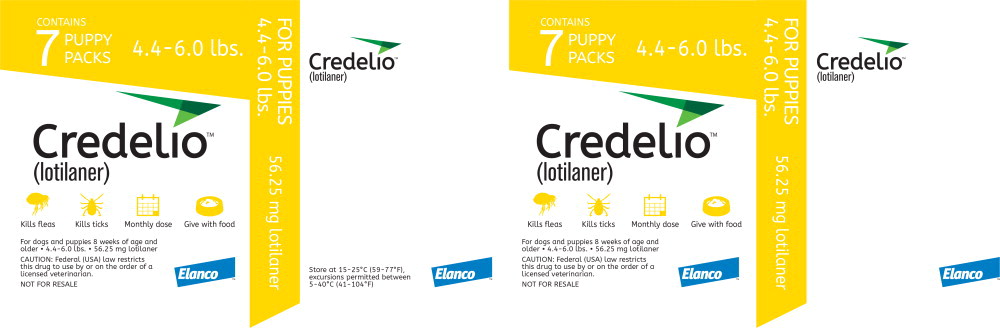 Principal Display Panel - Credelio Puppy Pack 56.25 mg 7 Pack Label
