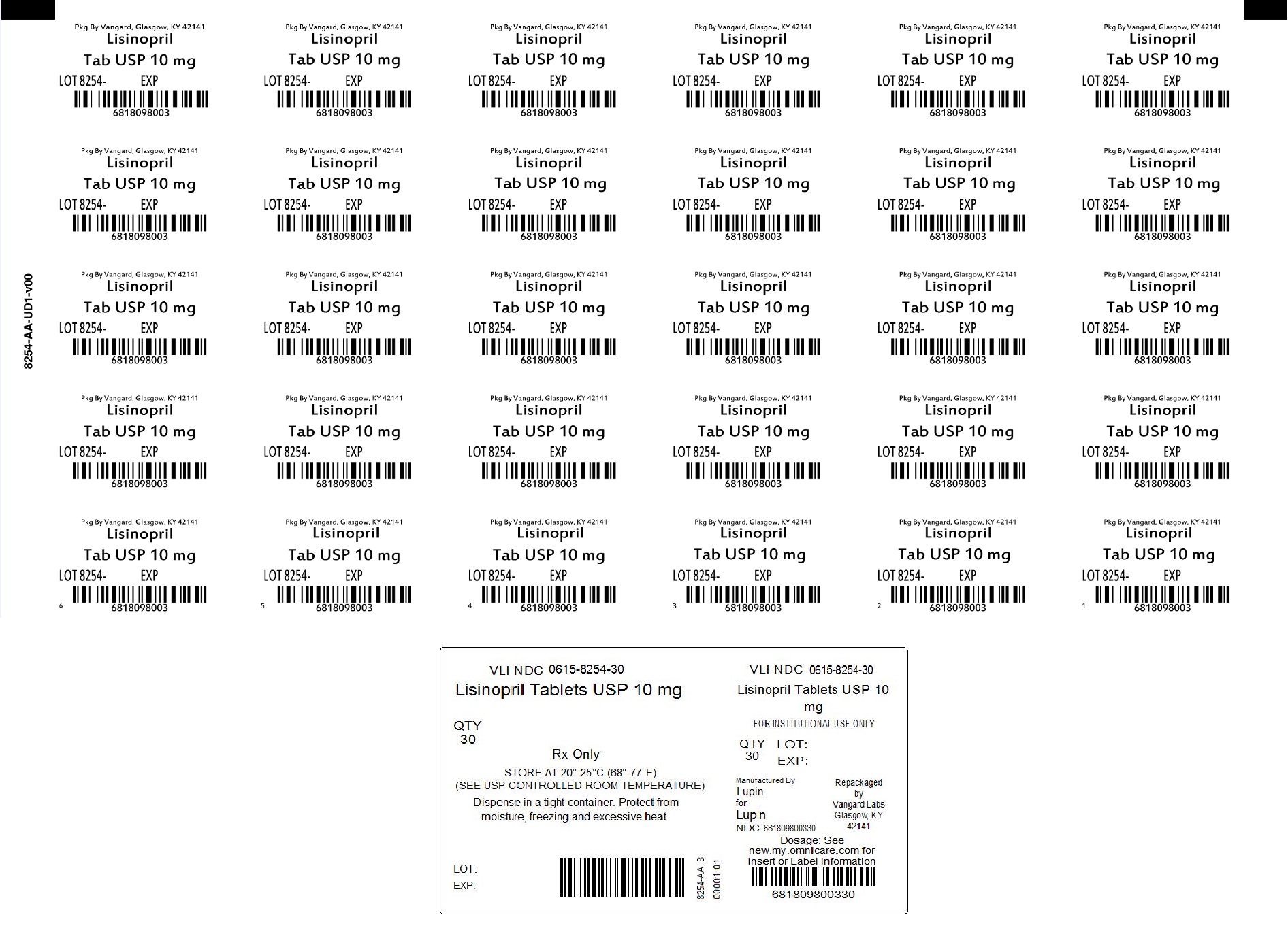 PRINCIPAL DISPLAY PANEL - Lisinopril 10MG bingo label