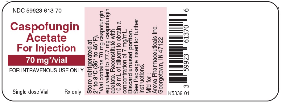 Caspofungin acetate for injection 70 mg NDC: <a href=/NDC/59923-614-70>59923-614-70</a> label