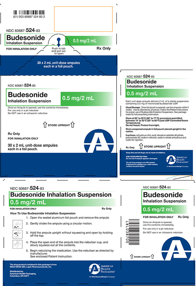 Budesonide Inhalation Suspension Carton Label