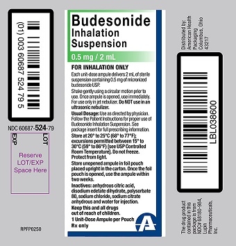 Budesonide Inahalation Suspension Foil Pouch Label