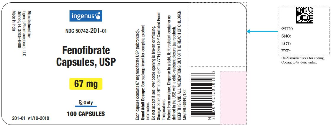 Fenofibrate Capsules USP, 67 mg - 100 caps
