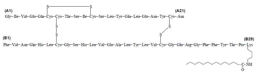 S:\SMART\LABELING\PRODUCTS\Levemir\FIGURES\Chemical Structure.jpg