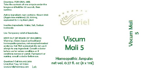 ViscumMali5Ampules