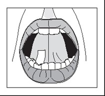 figure3.jpg