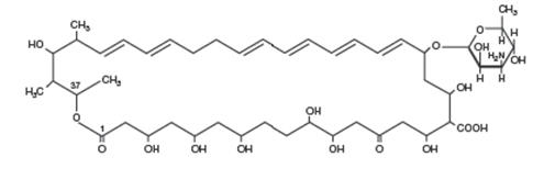 nystatin chemical structure