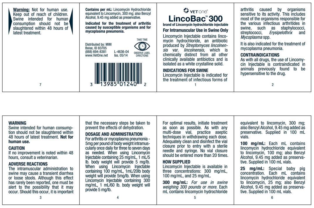 V1 Lincomycin 300 Onsert