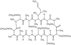 The following structure for Cyclosporine ophthalmic emulsion, 0.05% contains a topical calcineurin inhibitor immunosuppressant with anti-inflammatory effects. Cyclosporine’s chemical name is Cyclo[[(E)-(2S,3R,4R)-3-hydroxy-4-methyl-2-(methylamino)-6-octenoyl]-L-2-aminobutyryl-N-methylglycyl-N-methyl-L-leucyl-L-valyl-N-methyl-L-leucyl-L-alanyl-D-alanyl-N-methyl-L-leucyl-N-methyl-L-leucyl-N-methyl-L-valyl]