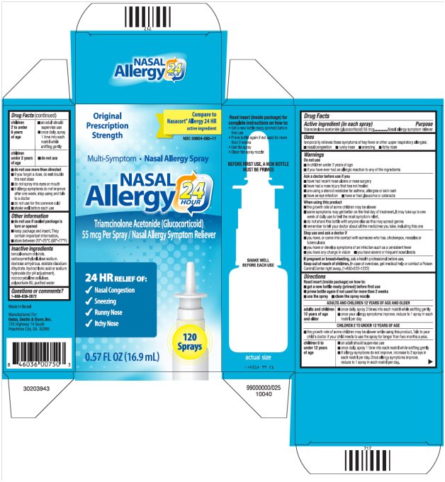 NASAL Allergy 24 HOUR Carton