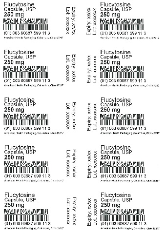 250 mg Flucytosine Capsule Blister