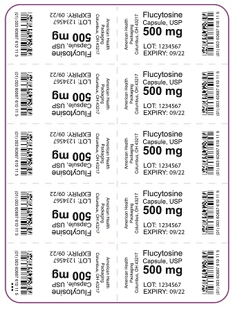 500 mg Flucytosine Tablet Blister