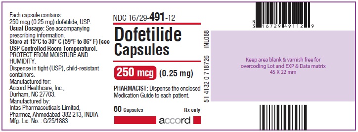 PRINCIPAL DISPLAY PANEL - 0.25 mg Capsule Bottle Label