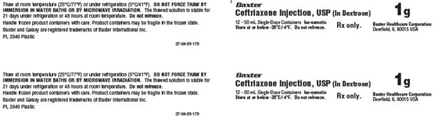 Ceftriaxone Representative Carton Label - 1 g - Panel 1 - NDC: <a href=/NDC/0338-5002>0338-5002</a>