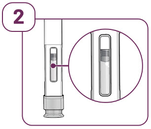 Figure 2 Prefilled Pen IFU