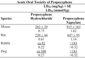 Image from Drug Label Content