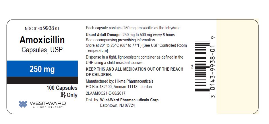 PRINCIPAL DISPLAY PANEL Amoxicillin Capsules, USP 250 mg/100 Capsules NDC: <a href=/NDC/0143-9938-01>0143-9938-01</a>