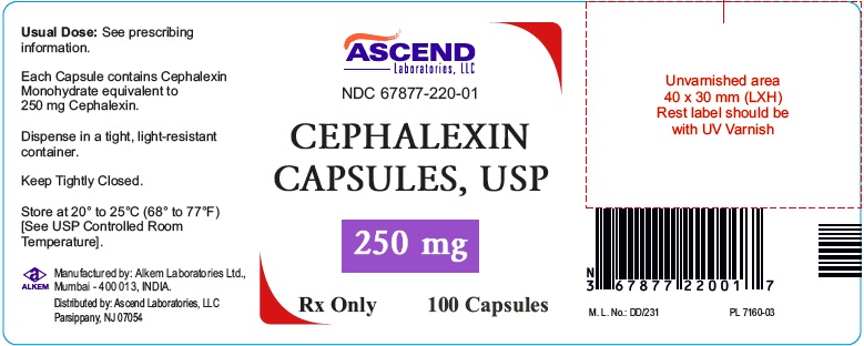cephalexin-250mg-100