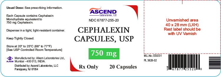 cephalexin-750mg-20