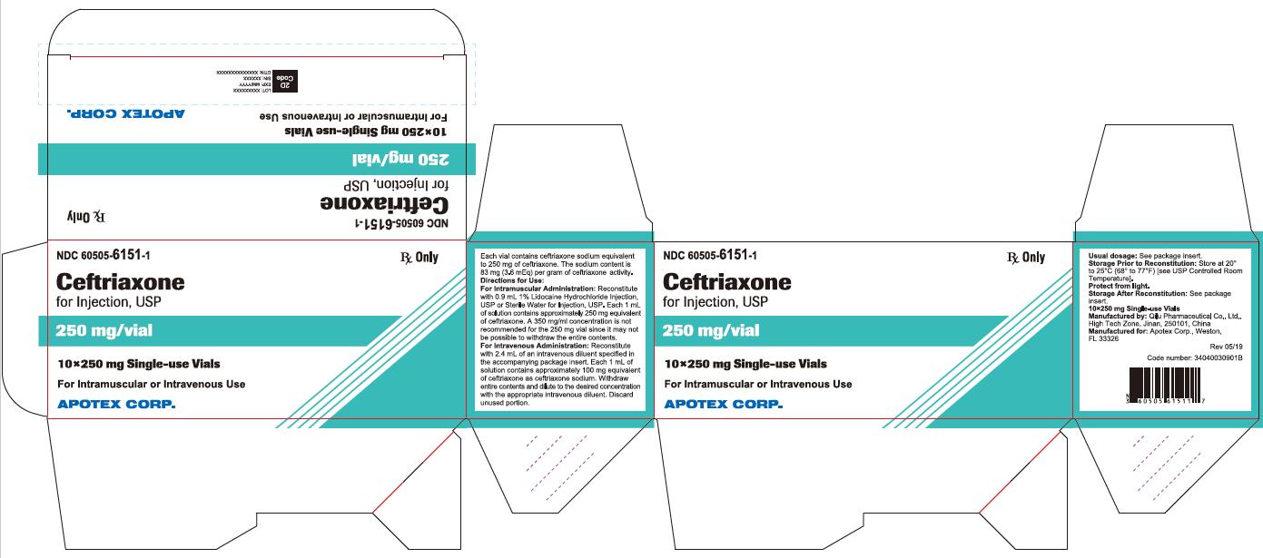 Ceftriaxone for Injection 250 mg Carton Label (10 Pack)