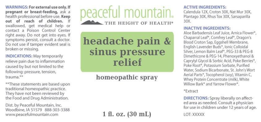 Headache Pain and Sinus Pressure Relief