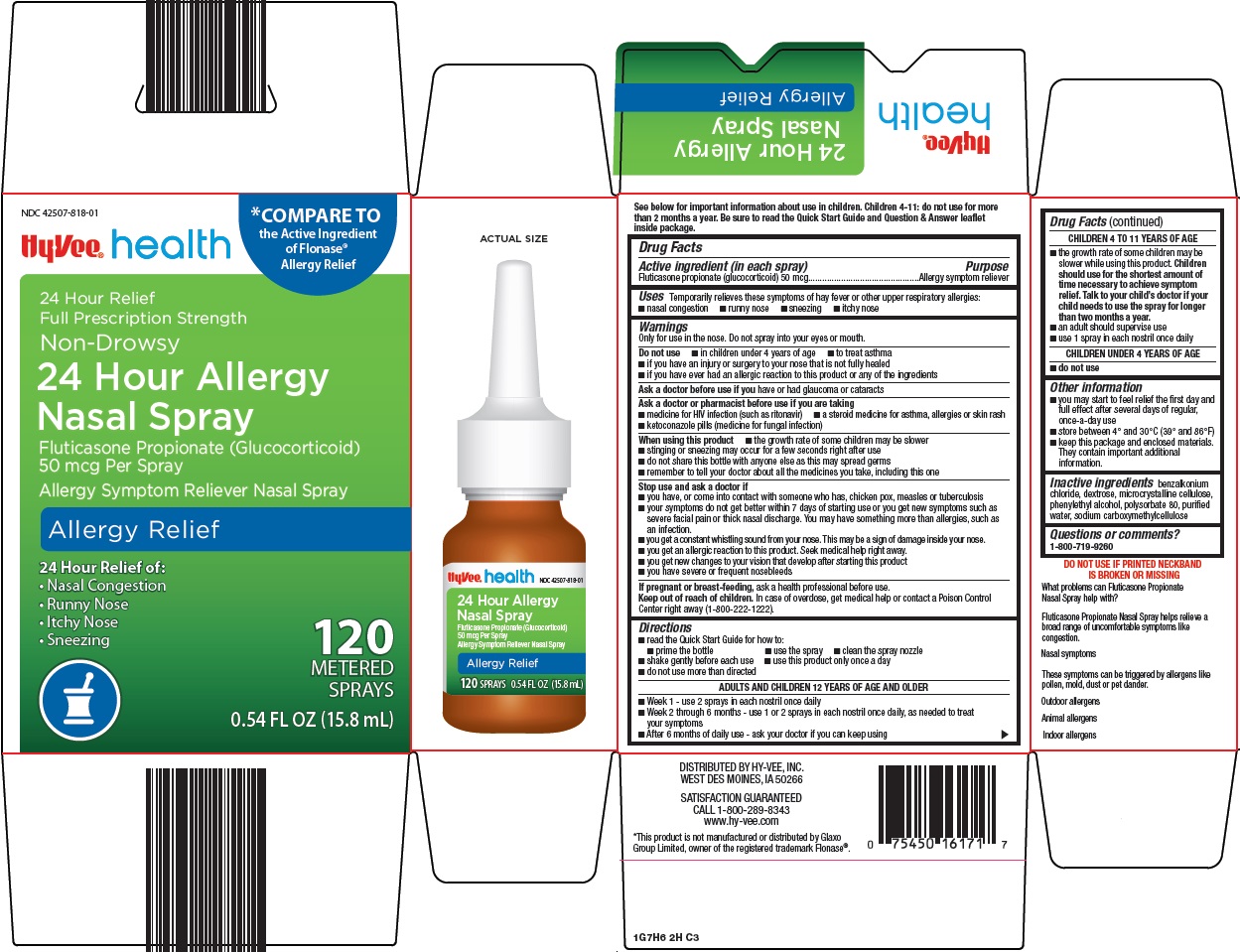 Hyvee 24 Hour Allergy Nasal Spray