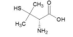 Structure.jpg