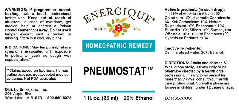 Pneumostat