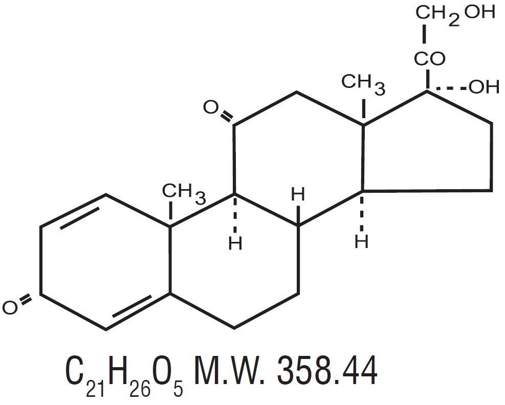 structure-prednisone