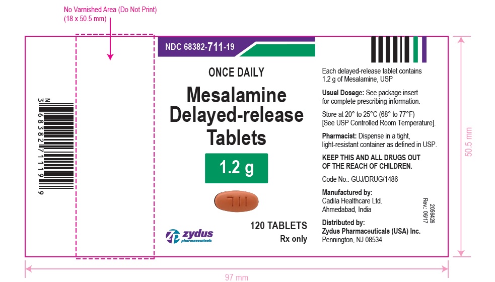 Mesalamine DR Tablets, 1.2 g
