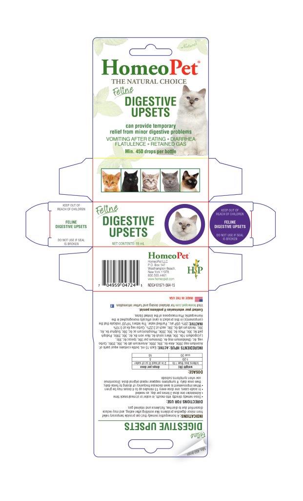 Feline Digestive Upsets box
