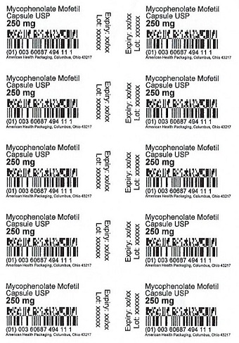 250 mg Mycophenolate Mofetil Capsule Blister