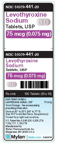 Levothyroxine Sodium 75 mcg (75 mg) Tablets Unit Carton Label