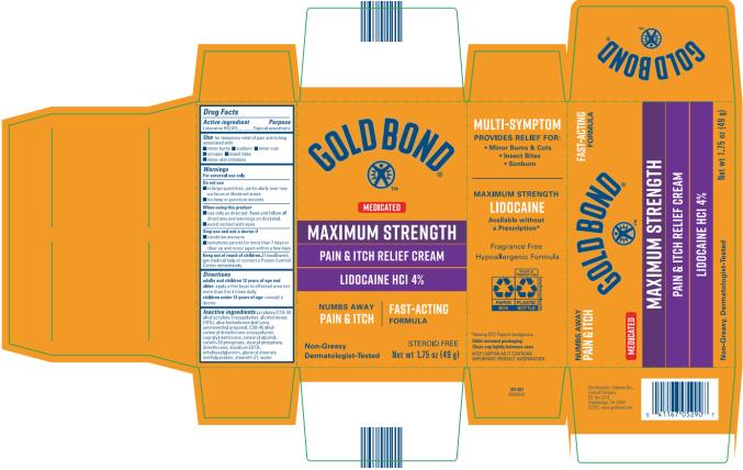 PRINCIPAL DISPLAY PANEL
GOLD BOND
Maximum Strength 
Pain and Itch Relief Cream
Net wt.1.75 oz (49 g)
