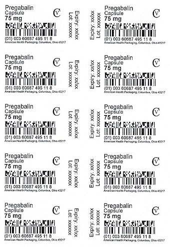 75 mg Pregabalin Capsule Blister