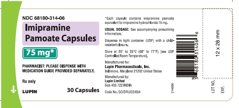 Imipramine Pamoate Capsules
75 mg - Bottle of 30s
							NDC: <a href=/NDC/68180-314-06>68180-314-06</a>       bottles of 30