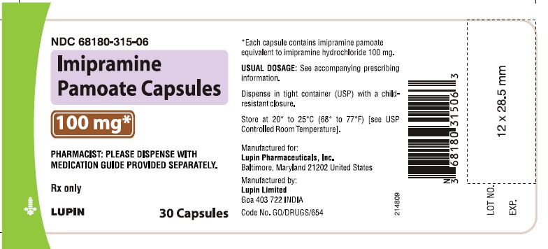 Imipramine Pamoate Capsules
100 mg - Bottle of 30s
							NDC: <a href=/NDC/68180-315-06>68180-315-06</a>        bottles of 30