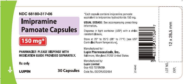 Imipramine Pamoate Capsules
150 mg - Bottle of 30s
							NDC: <a href=/NDC/68180-317-06>68180-317-06</a>       bottles of 30