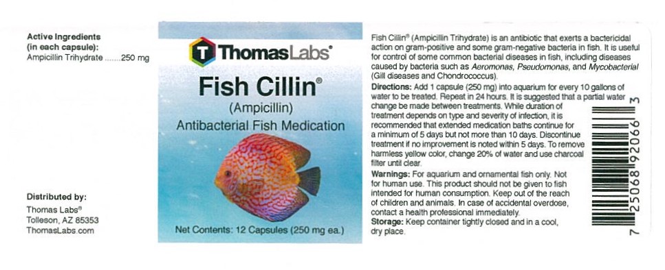 Fish Cillin 12 Capsules