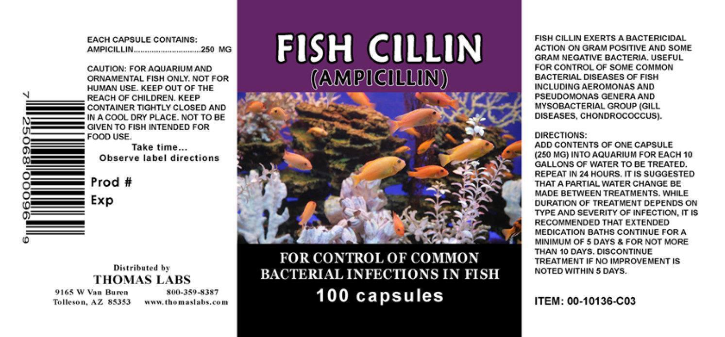 Fish Cillin 100 Capsules